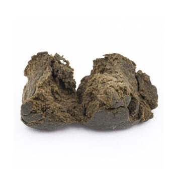 Silver haze cannabis