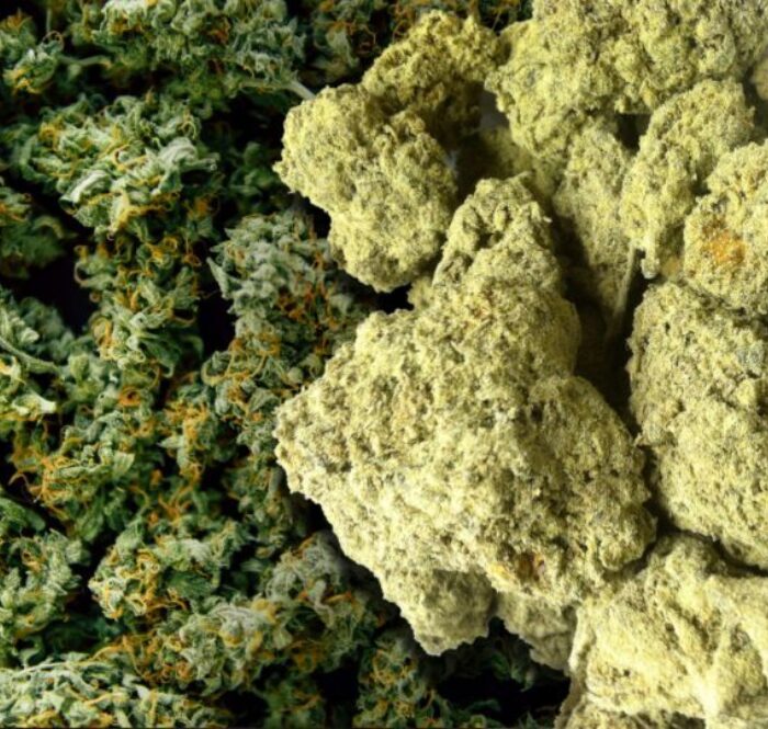 Sour diesel varietà