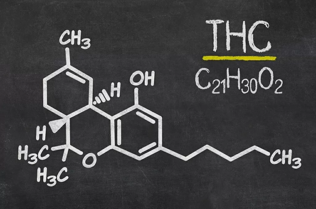 Thc: cos’è, che effetti ha sull’organismo