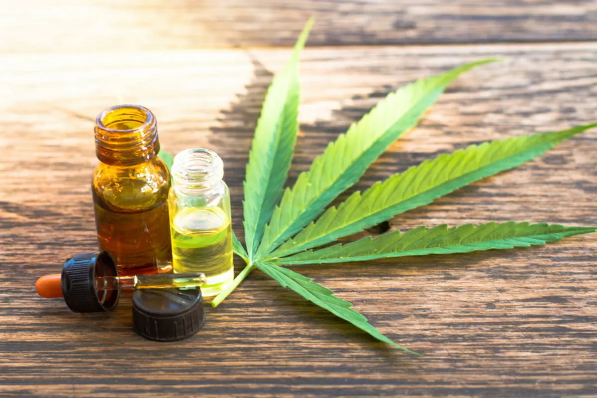 Olio di cannabis e cura del cancro