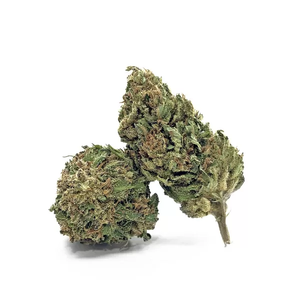 Big Bud CBD