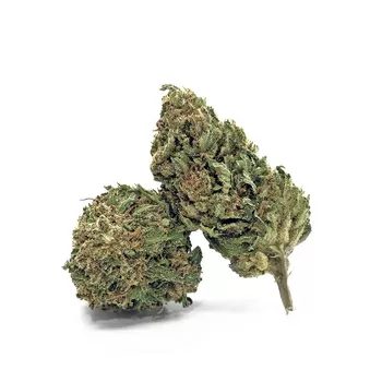 Big Bud CBD