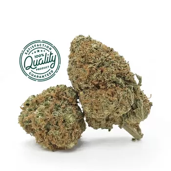 Bubble gum cbd