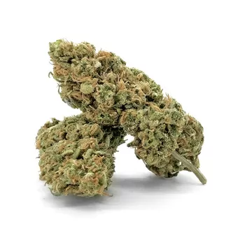 Rollex og cbd