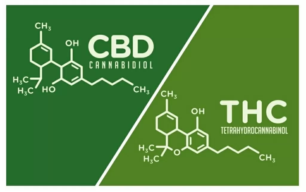 Rapporto thc cbd