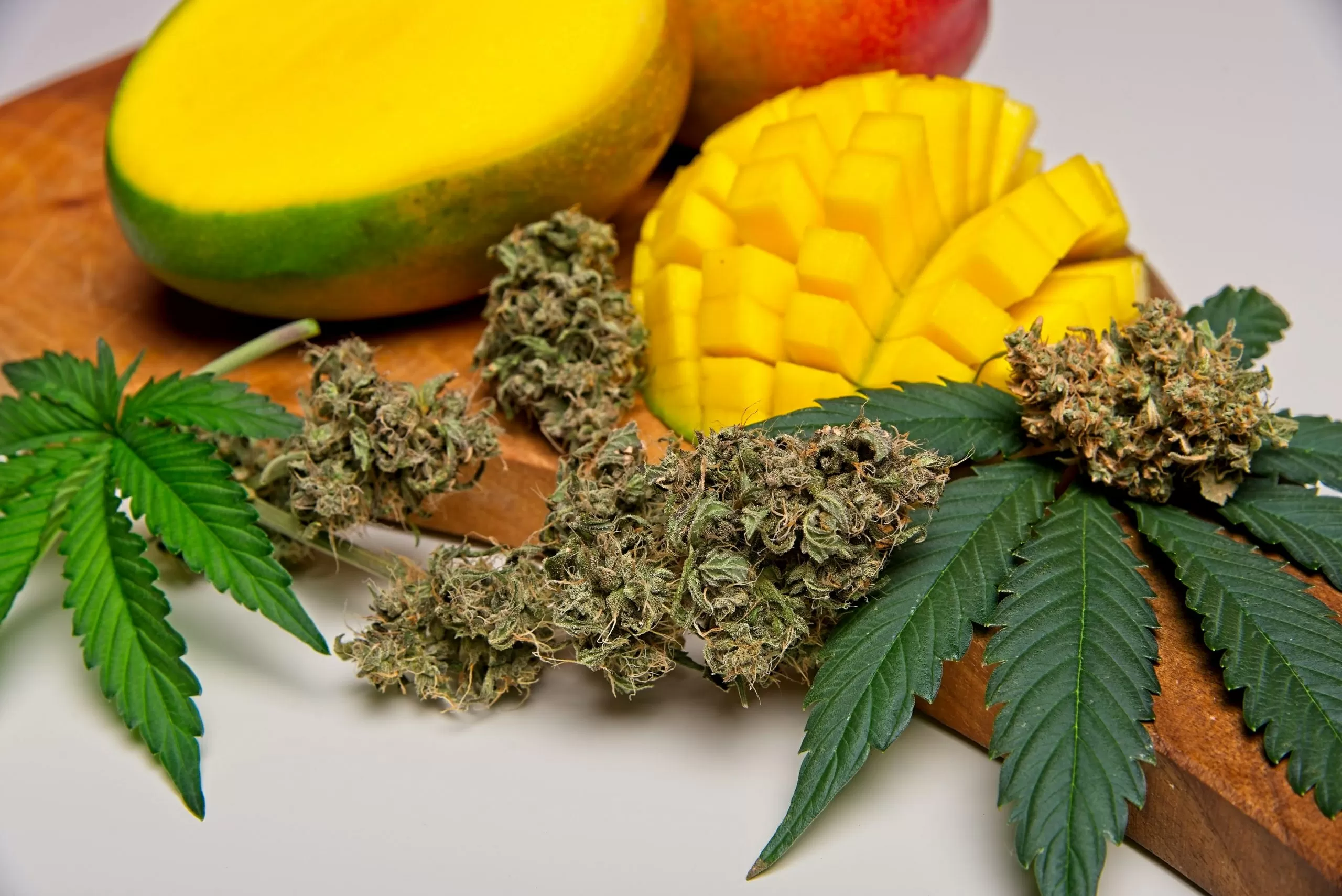 Mango cannabis