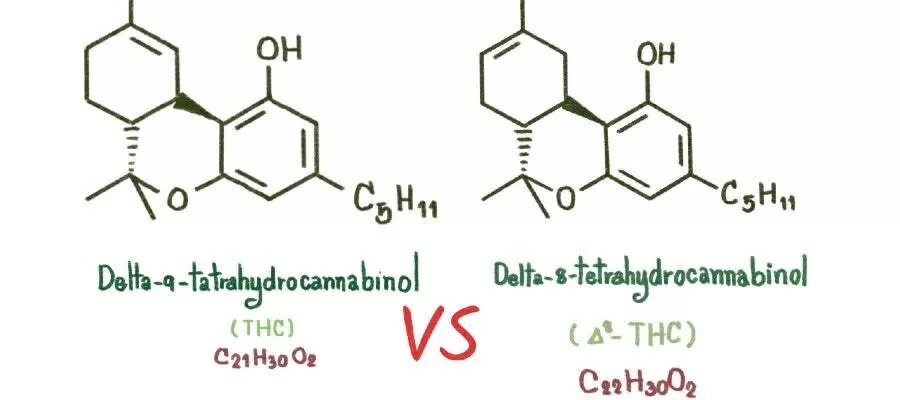 Differenza tra delta8 vs delta9