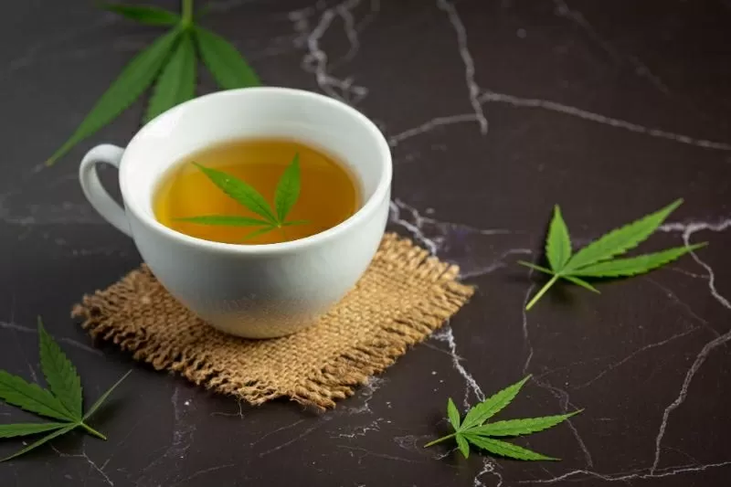 Tisana cannabis