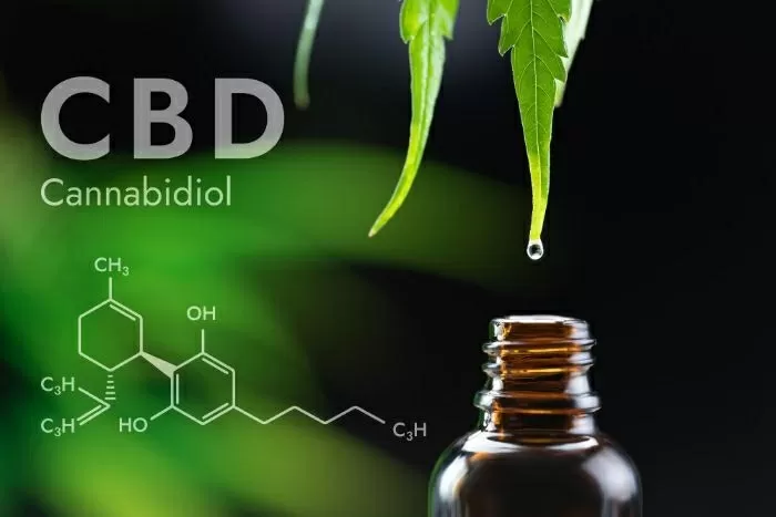 Olio cbd formula