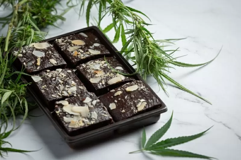 Ricette cannabis