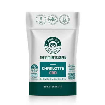 Mock charlotte cbd