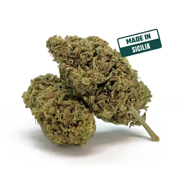 Lemon haze cbd 2024