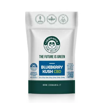 Mock bluebberry