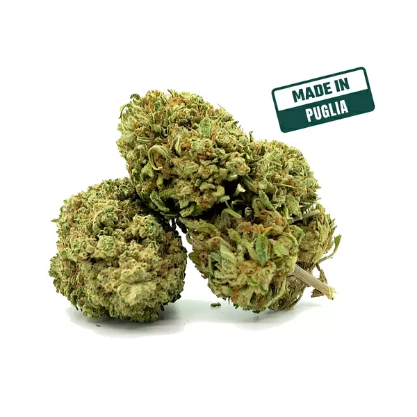 Og kush 25