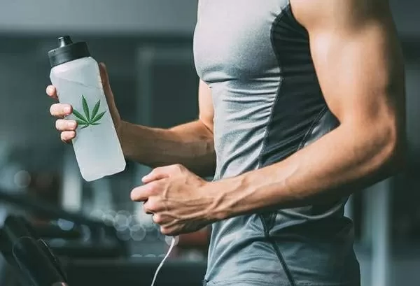 Cbd sports