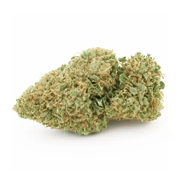 Super skunk 2025