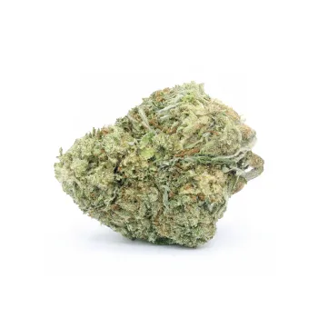 Super skunk 2026