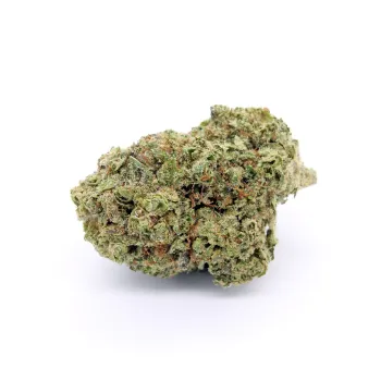 Gorilla glue 2026