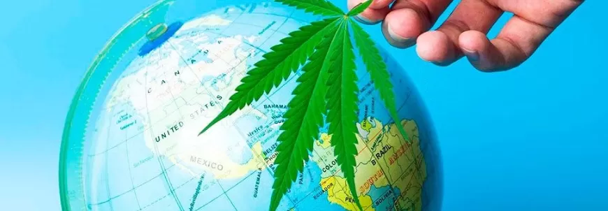 Sono tante le località turistiche sparse in giro per il mondo che mettono a disposizione servizi e tour educativi espressamente dedicati alla cannabis. Abbiamo scelto di suggerirvi le  migliori destinazioni turistiche.