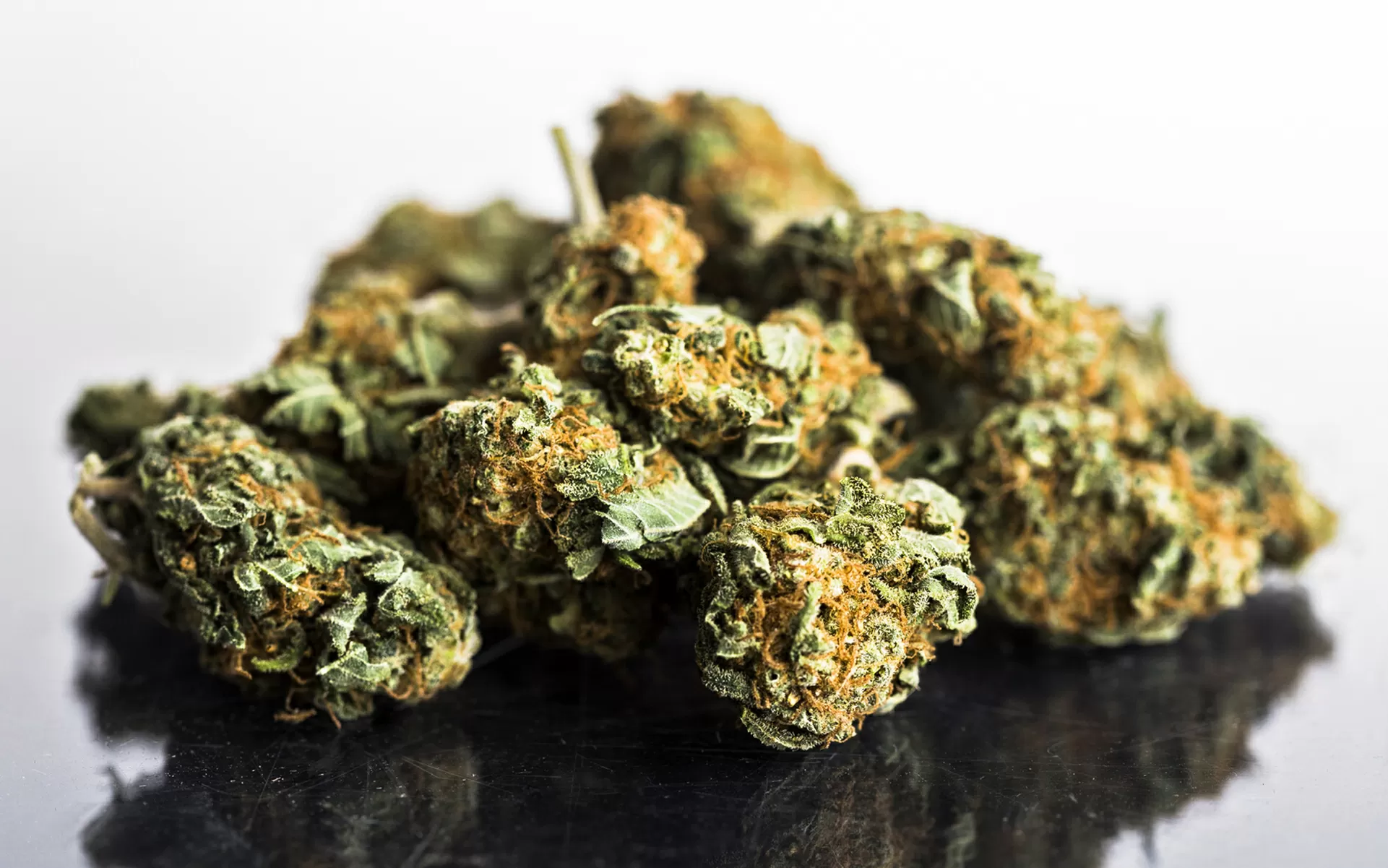 Marijuana ad alto contenuto di thc