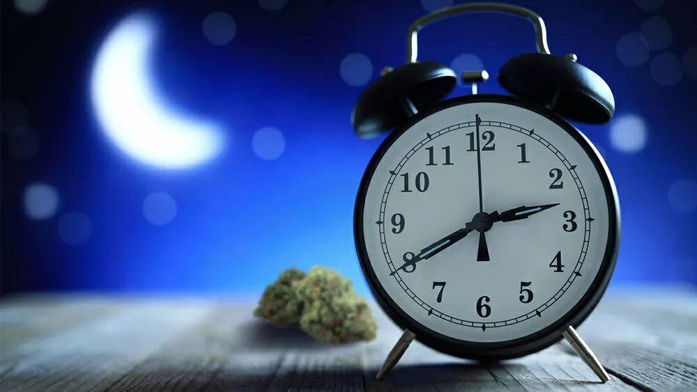 I rimedi naturali contro l’insonnia, danno benessere e sollievo, favorendo il riposo e migliorando la qualità del sonno. Tra questi troviamo il CBD o cannabidiolo, un derivato della canapa sativa, che spesso è assunto sotto forma di olio al CBD.