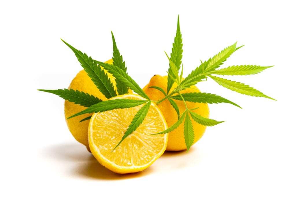 Il limonene è una sostanza chimica, facente parte della categoria dei terpeni, o meglio, dei monoterpeni ciclici. Il suo aspetto è incolore e, presenta la caratteristica di essere insolubile nell’acqua ma solubile negli olii e nell’alcool.