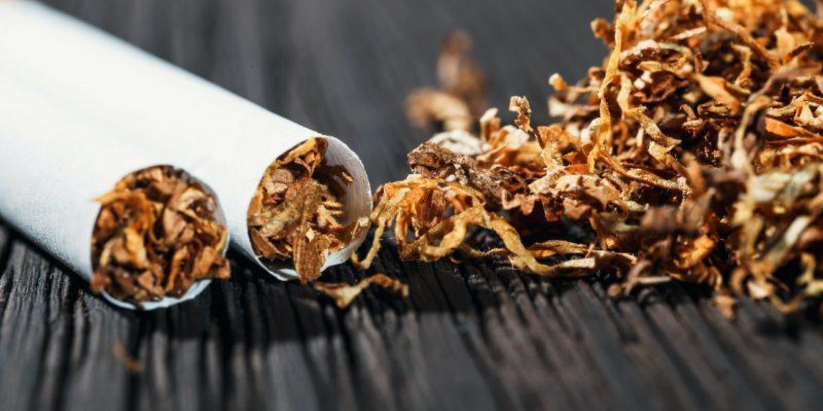 Miglior tabacco da rollare CBDMania.it