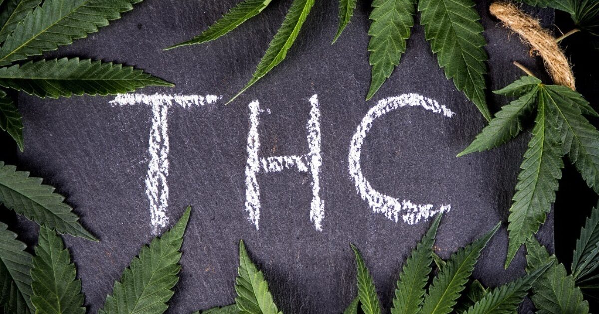 Thc nel sangue quanto dura, come smaltirlo prima CBDMania.it