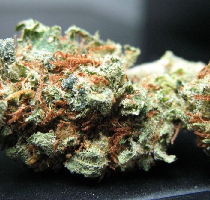 La varietà di marijuana Candy Kush  è nota per le caratteristiche proprie della cannabis indica, sativa e ruderalis.