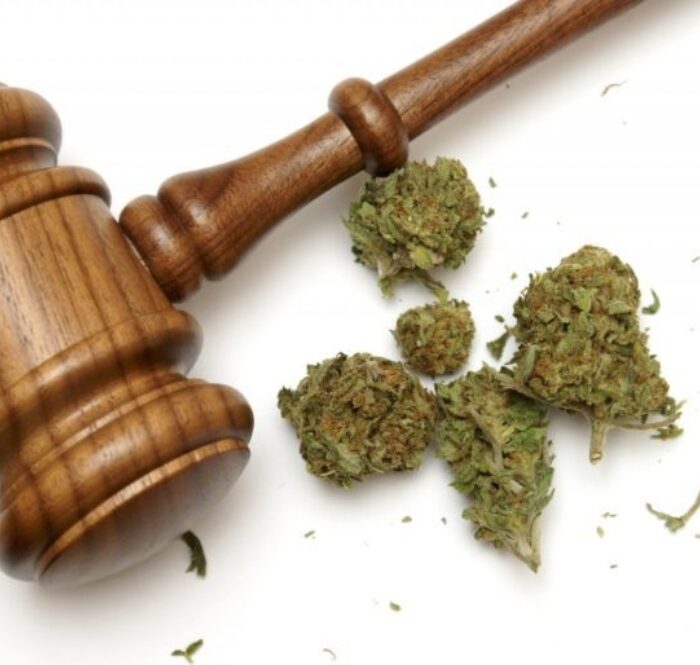 Legalizzazione Cannabis tra incertezze e contraddizioni. Il quadro normativo riguardante la cannabis in Italia si basa, sostanzialmente, su due leggi.