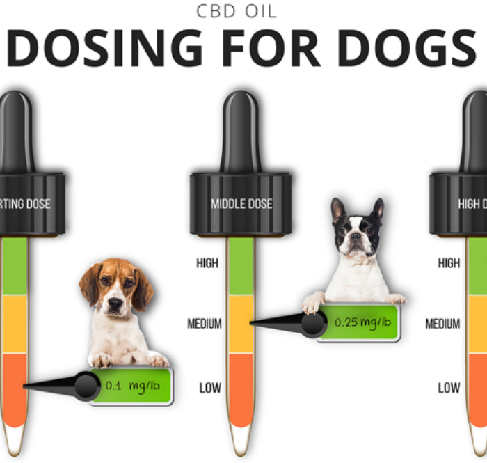 Собака 4 кг. КБД рыжий. CBD doggie Droppers