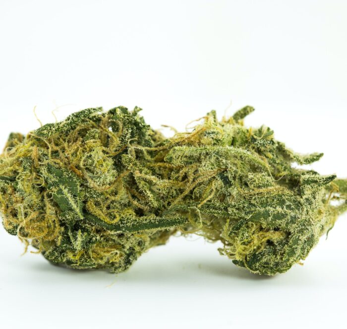 La Pineapple Express è una varietà di marijuana ibrida a predominanza indica frutto dell’incrocio tra Trainwreck e Hawaiian