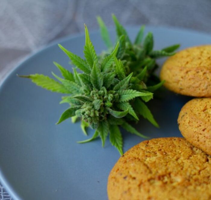 Biscotti cannabis