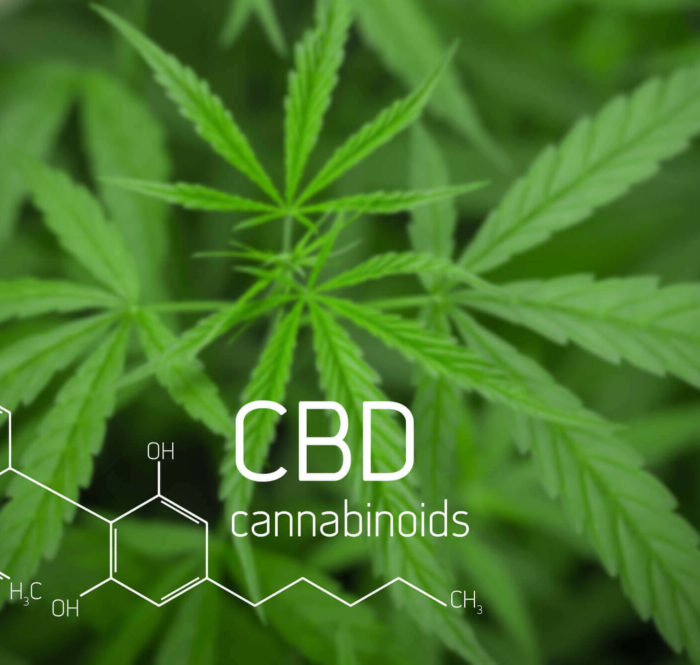 cannabidiolo