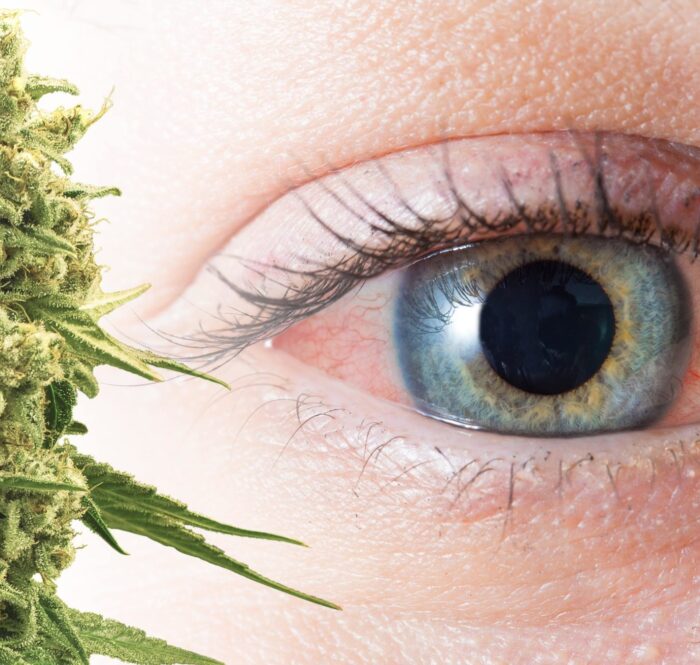 Cannabis occhi rossi