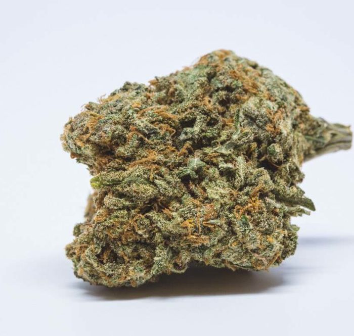 È definita Cheese Marijuana perchè è contraddistinta dal caratteristico aroma aspro e piuttosto pungente. Tale varietà di cannabis non è altro che un ibrido a predominanza Indica.