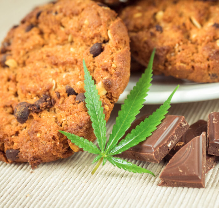 La marijuana offre un ampio spazio all’immaginazione e alla creatività anche in cucina. In questo articolo illustreremo dunque come preparare i biscotti alla marijuana.