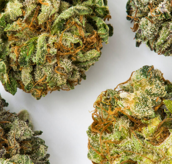 Acquistare erba buona e di qualità non è certo un fattore da sottovalutare: è infatti proprio la qualità della cannabis a garantire un’esperienza ricreativa legata all’assunzione, piacevole ed appagante.