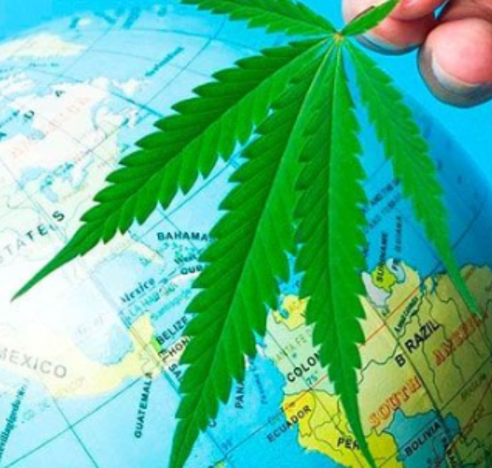 Sono tante le località turistiche sparse in giro per il mondo che mettono a disposizione servizi e tour educativi espressamente dedicati alla cannabis. Abbiamo scelto di suggerirvi le  migliori destinazioni turistiche.