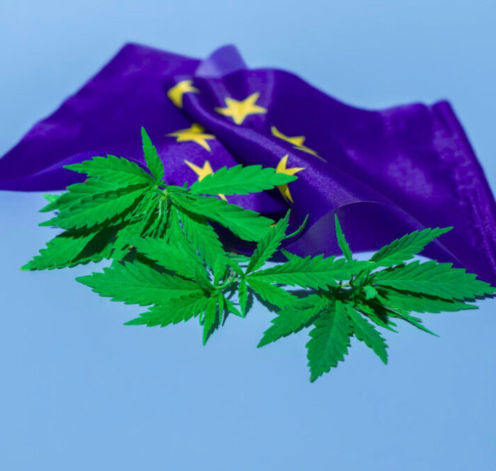 Legalizzazione cannabis europa