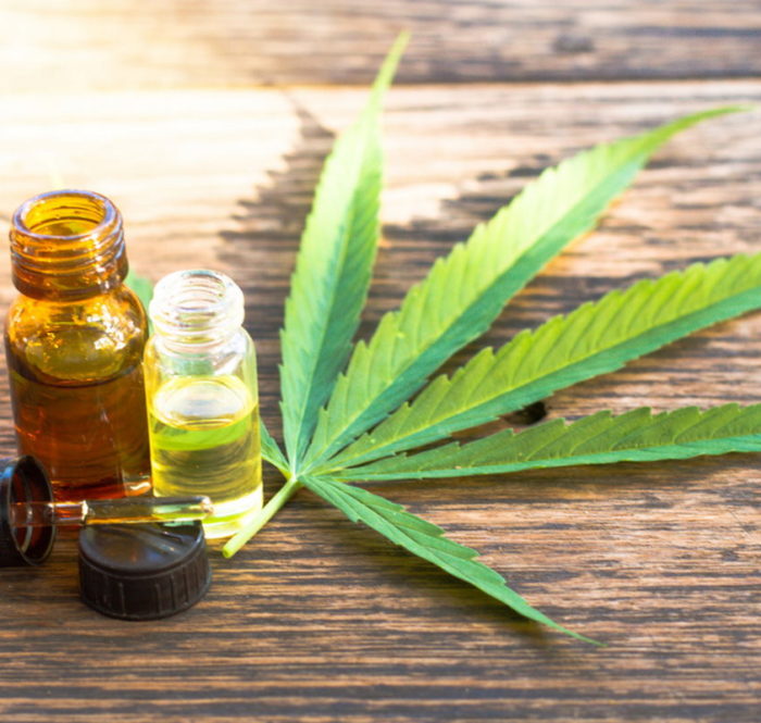 Olio di cannabis e cura del cancro