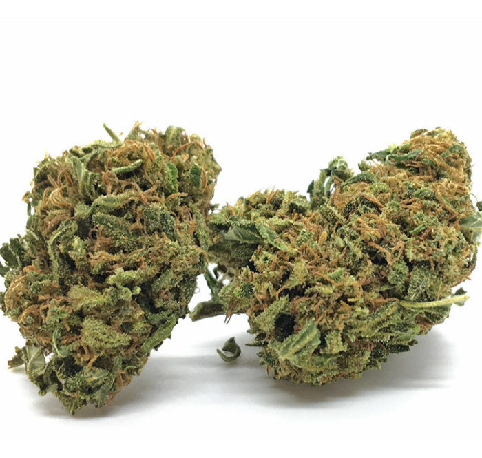 La Orange Bud è uno dei rappresentanti della 'vecchia scuola di canapa sativa'. Dal suo sapore intenso prevale il retrogusto che condivide con la famiglia della cannabis Indica.