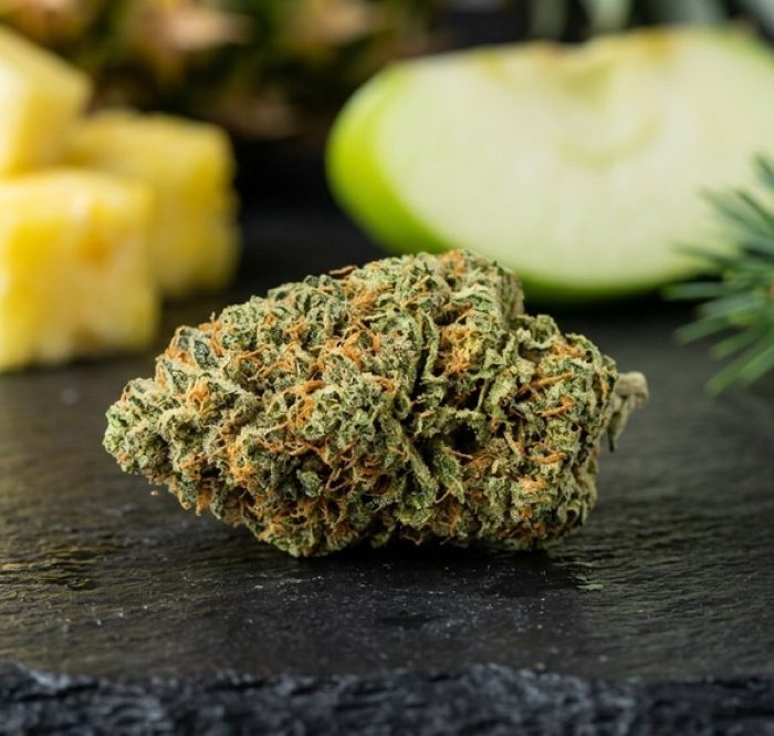 Infiorescenza Pineapple Express verde-oliva con pistilli arancioni, cubetti di ananas, mela verde e pino — la varietà tropicale in versione CBD