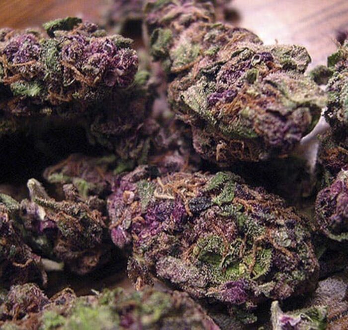 Purple haze