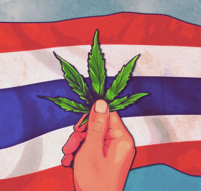 Thailandia guida cannabis turisti
