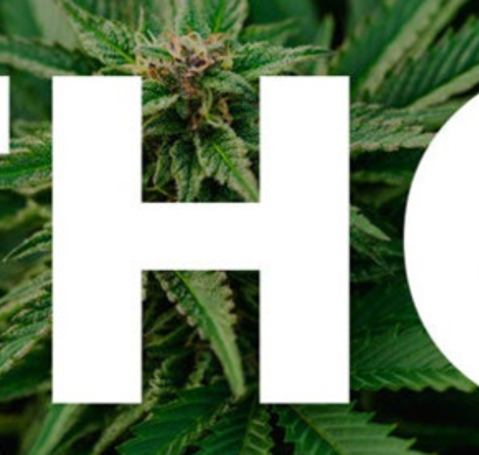Cannabis ad alto contenuto THC