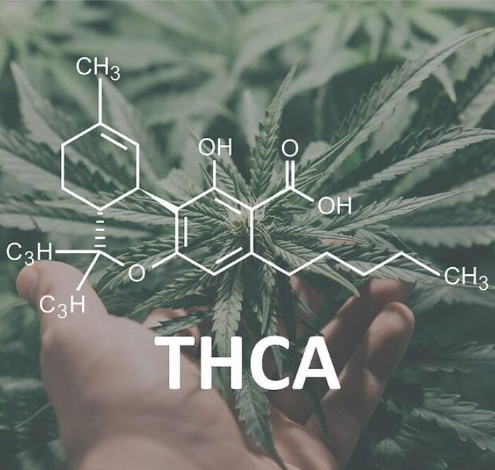 Thca differenza thc