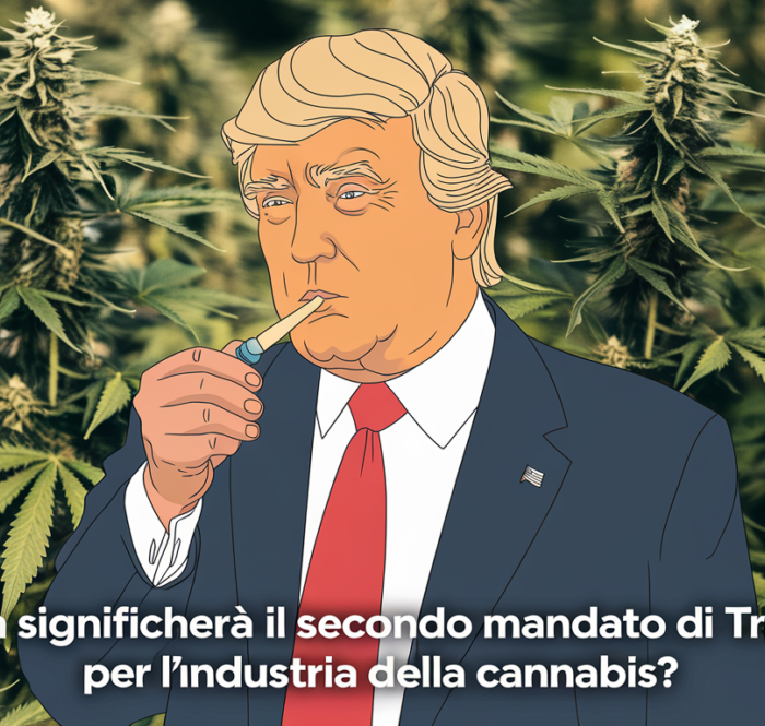 Trump cannabis usa