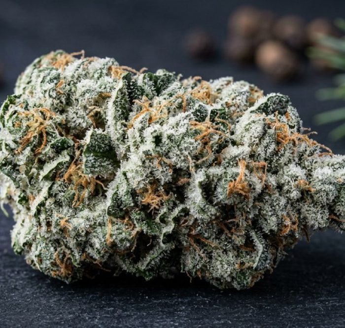 Infiorescenza White Widow ricoperta di tricomi bianchi cristallini con pistilli arancioni — la "Vedova Bianca" in versione CBD