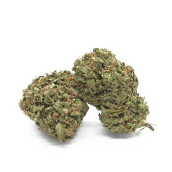 Amnesia Haze CBD